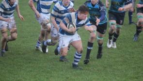 Tipperary's Rockwell College overcome late Limerick scare in Munster Senior Cup