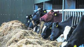 Department to hold series of in-person Farmer Clinics for BISS 2024 and related schemes