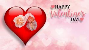 How do Tipperary people feel about Valentine's Day? Survey reveals that 61% of us in a relationship will celebrate it 
