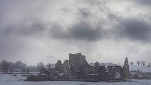 Cashel in the snow!