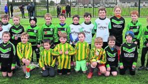 Blackcastle Templemore Harps: Weekend weather plays havoc with games