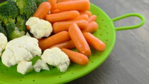 WIT launches guidance for supplement nutrition industry