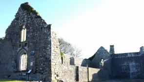 Renowned playwright's performance in Tipperary village will help local shop remain open