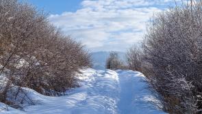 #Beast from the East: List of closed Tipperary schools