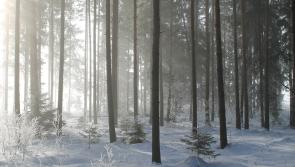 All schools in Tipperary to remain closed as county prepares for worst snowstorm in 36 years
