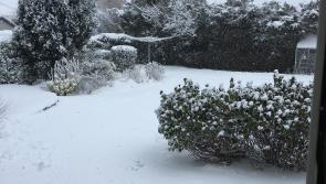 Weather update: Tipperary Gardai warn motorists to stay off the roads