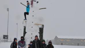 Tipperary family set records with 17ft tall ‘Beast from the East’ snowman