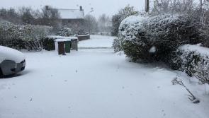 Storm Emma aftermath: Tipperary Gardai praise public for heeding weather warnings