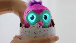 Thurles shoplifter stole Batman Lego Sets, Barbie Dolls - Thurles District Court 
