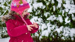 VOTE: Vote now for Tipperary's best snow creation
