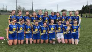Tipperary students beat Waterford school in Munster final 