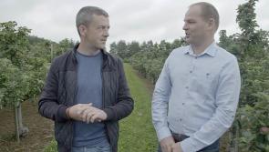 RTÉ series Grow, Cook, Eat set to visit Tipperary 
