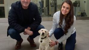 Roy Keane supports Irish Guide Dogs for the Blind Heroes appeal
