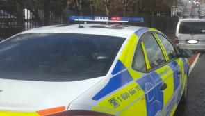 Dublin gardai catch driver with three fake discs