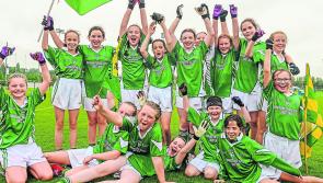 Like to get involved with Community Games in Cahir? AGM this Wednesday night!