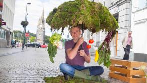 GIY offer companies top 5 tips for National Workplace Wellbeing Day 2018