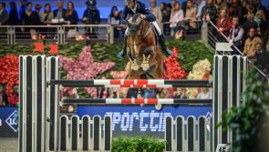 Tipperary's Denis Lynch joins star-studded line-up at Longines FEI World Cup Final