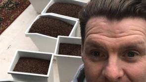 Adults only cafe set to open in Tipperary