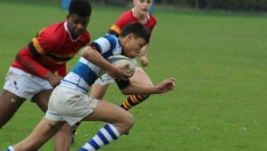 Tipperary's Rockwell College beaten by Cork's Christian Brothers College in Munster rugby final