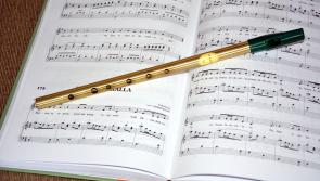 Calls made by Tipperary TD to clarify funding arrangements for Comhaltas Ceoltoiri Eireann