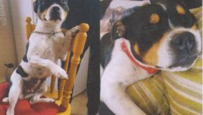 Missing from Lisheen Moyne - “Dimples”