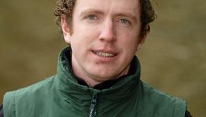 Tipperary’s Greg Broderick wins opening round of TRM/Horse Sport Ireland New Heights Champions Series in Armagh 