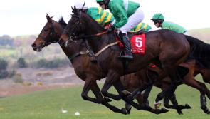 Punchestown reveal Grade 1 entries for first two days of festival