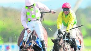 Punchestown Tips: The horses to back on Ladies Day at Punchestown 2019