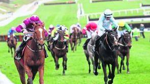 Punchestown Tips: The horses worth backing on Day 3 (Thursday) at Punchestown