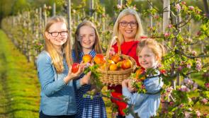 Bank holiday fun in Tipperary at The Apple Farm