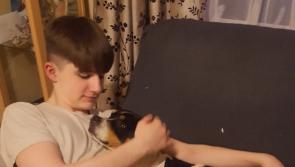 Thurles family praise ‘kindness of strangers’ after missing dog Dimples is returned home