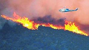  Department of Agriculture issues status red warning for forest fires