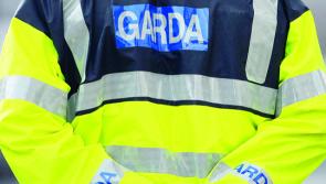Gardai seize €60,000 worth of suspected cocaine at outdoor location in Co. Tipperary 