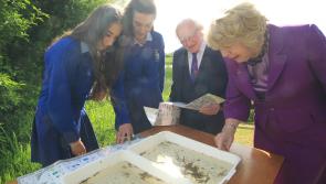 President Higgins issues warning on climage change at official opening of Thurles’ Cabragh Wetlands Visitor Centre  
