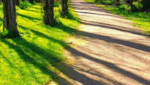 Cllr Peter Ryan urges local authority to identify and develop local walkways