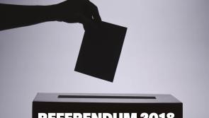 Tipperary voters backed Yes and No with some communities equally divided on both sides