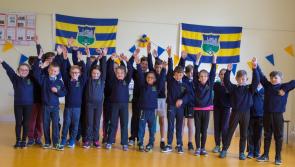 Knockavilla NS shortlisted for Eco Rangers School of the Year Award