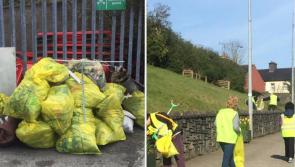 Council urges volunteers to engage in Spring Clean in their locality, but with social distancing