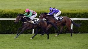 Tipperary punter lands €37,537.50  with four-horse accumulator 
