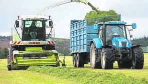 EDITORIAL COMMENT: Cork beat and the hay saved