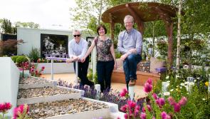 Bloom win: Nenagh designer Tom Grey awarded bronze for dementia garden