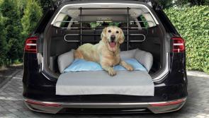Tips for Tipperary dog  owners - travel safely this summer!