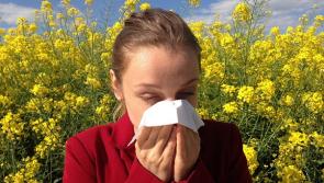 Vital people in Tipperary check out essential daily Pollen Tracker during hot spell - Asthma Society