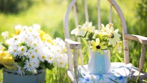 Marjorie Fairclogh's Garden Open Day