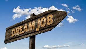 Tipperary Jobs Round Up: Who's hiring in the county this week?