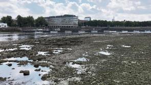 Tipperary water fears as River Shannon levels impact on ESB generating capacity