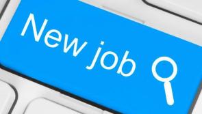 JOBS BOARD: Ten new and exciting opportunities from across Tipperary