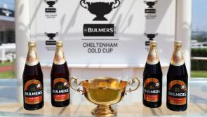 Tipperary cider firm Bulmers unveiled as exclusive sponsor of Cheltenham Gold Cup