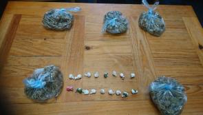 Tipperary Gardai seize drugs in early morning operation