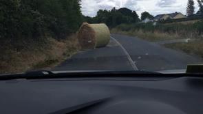 Garda warning to farmers after incident in Tipperary
